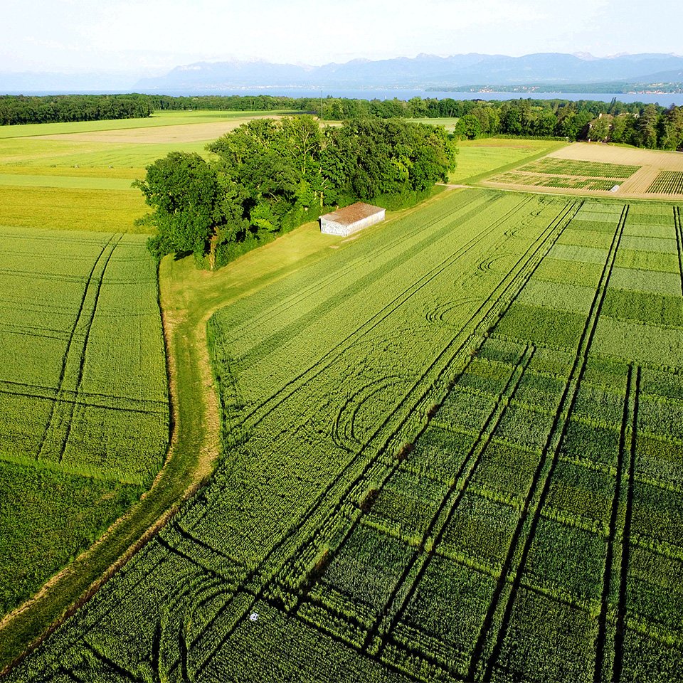 UAV Integrated Data Link and Systems for Survey & Mapping