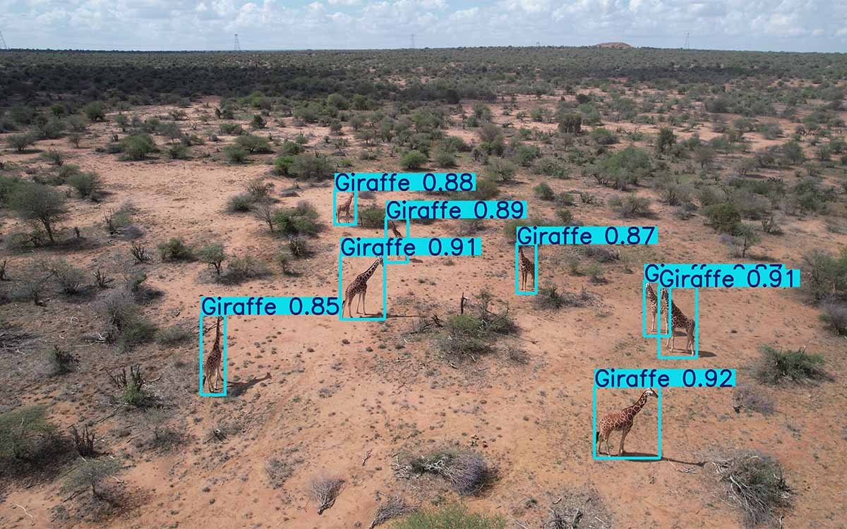 ATS Basic system for wildlife monitoring and conservation drone operations